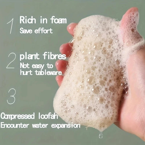 6 Pack Seep Eco Sponges,Reusable Washing Up Sponge,Compostable Kitchen Sponge