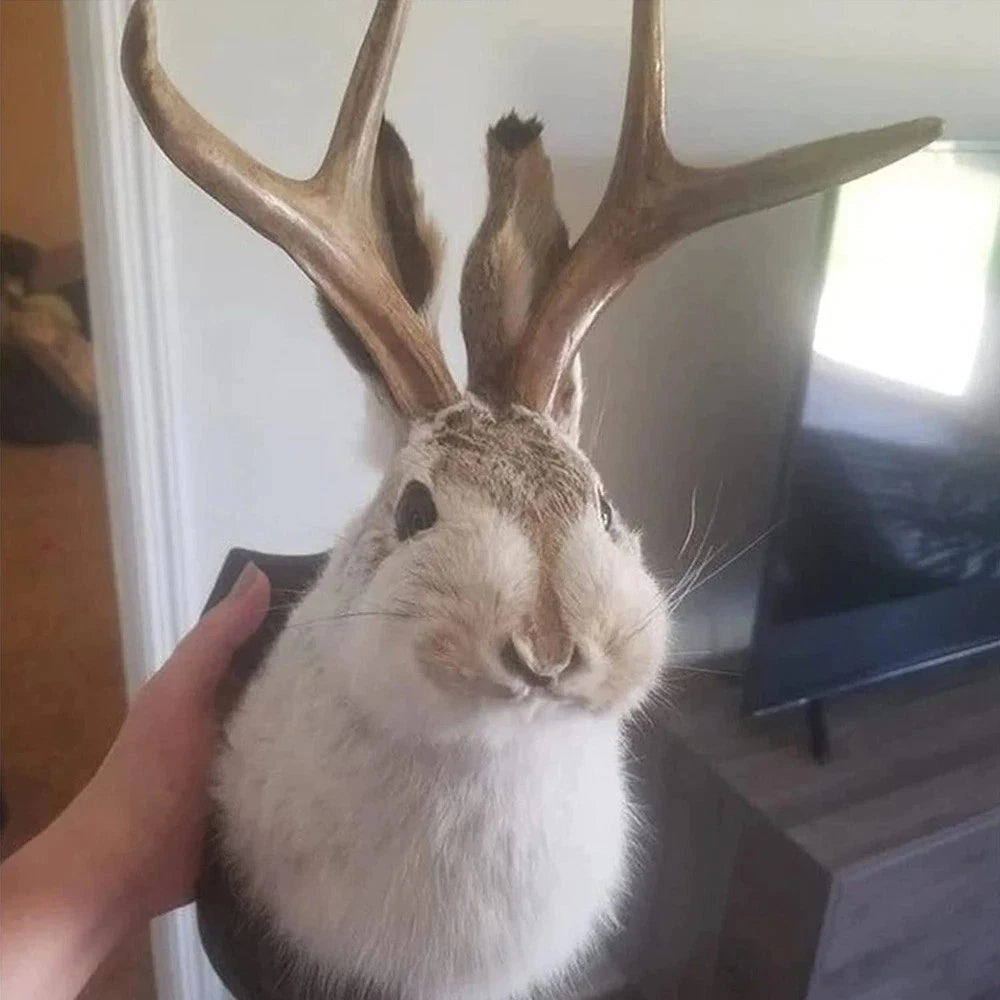 Jackalope Wall Mount Statue — Mythical Antlered Rabbit Home Decor
